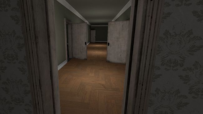 Watcher from the Void