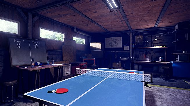 VR Ping Pong Pro