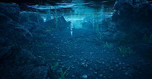 The Shore Enhanced Edition