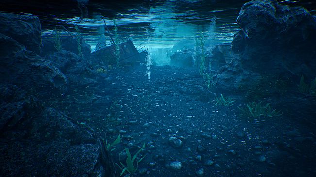 The Shore Enhanced Edition