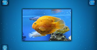 PUZZLE: OCEAN - Puzzle Pack: FISH PACK