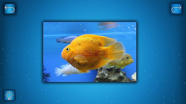 PUZZLE: OCEAN - Puzzle Pack: FISH PACK