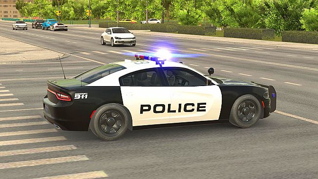 Police Car Simulator