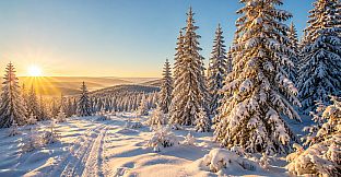 Puzzles Snow