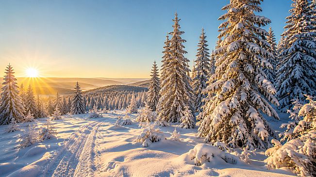Puzzles Snow