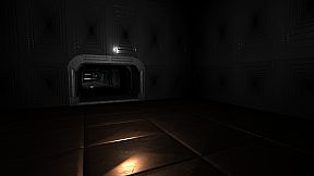 P-Walker's Simulation