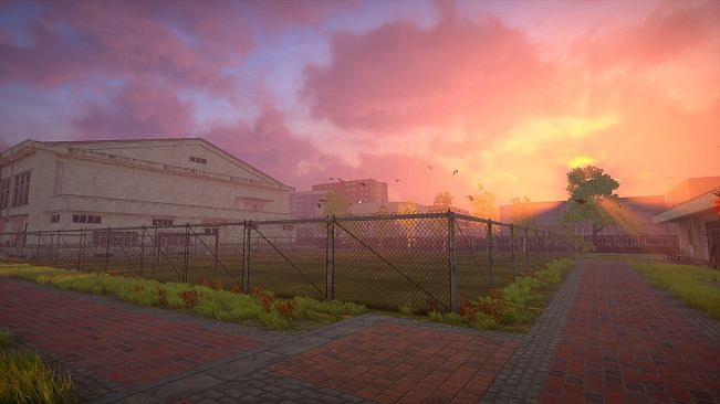 The Dream is Coming...