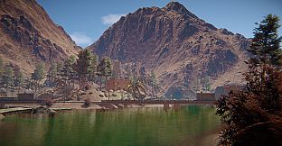 Desert Strait: Operation Online