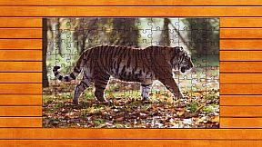 Big Cat Jigsaw Quest