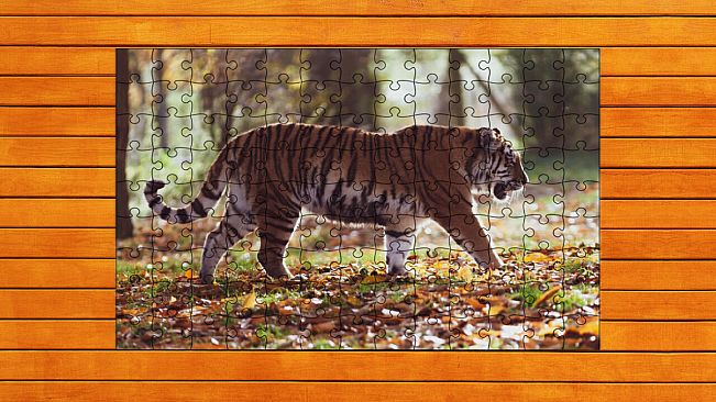 Big Cat Jigsaw Quest