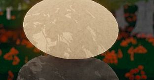 Hide and Seek - Rice Hat