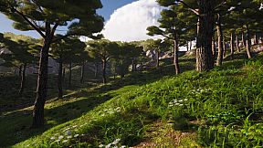 Black cotton: Wuneng