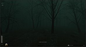 Descending The Woods