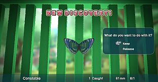 Natsu-Mon: 20th Century Summer Kid: Broadcast Over Sunset