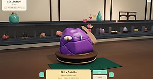 Pet Rock Workshop