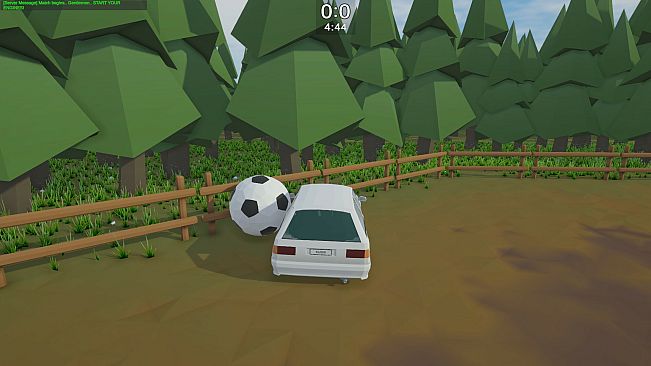 Forest Football