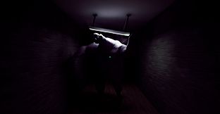 Plura Ingenia: Patient 16