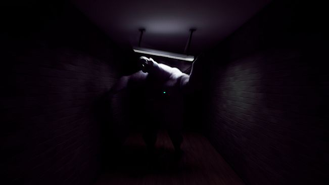 Plura Ingenia: Patient 16