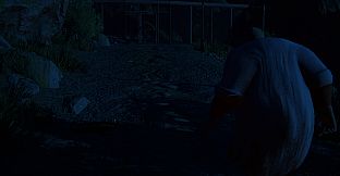 Whittingham Asylum: The Investigation