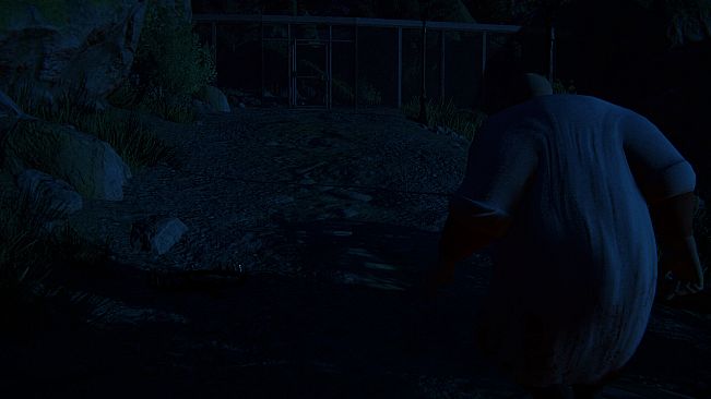 Whittingham Asylum: The Investigation