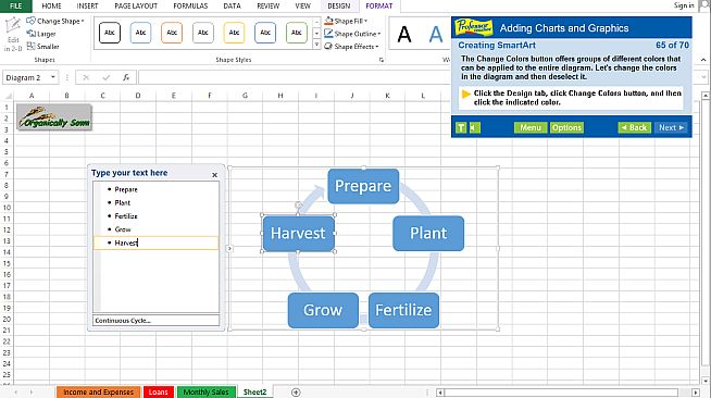 Professor Teaches Excel 2013 & 365