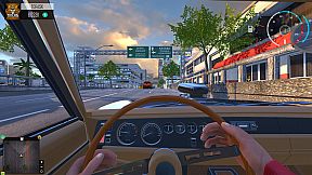 Tofas Sahin: Online Car Driving