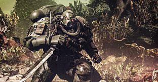 Warhammer 40,000: Space Marine 2 - Raptors Cosmetic Pack