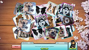 I Love Finding MORE Pups