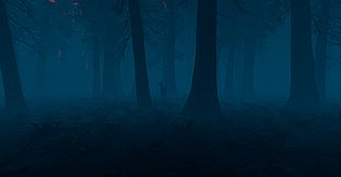 The Woods