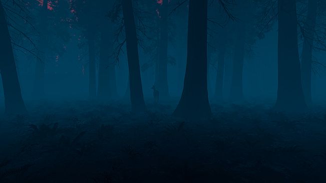 The Woods
