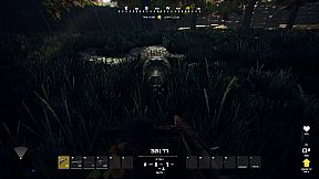 Resilience Wave Survival