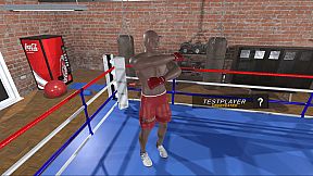 Ragdoll Boxing Multiplayer