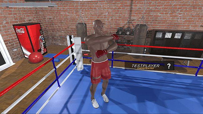 Ragdoll Boxing Multiplayer