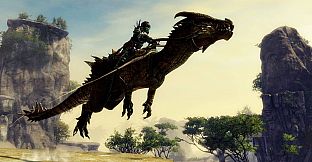 Guild Wars 2 Starter Pack