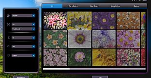 Let's Play Jigsaw Puzzles: Flowers
