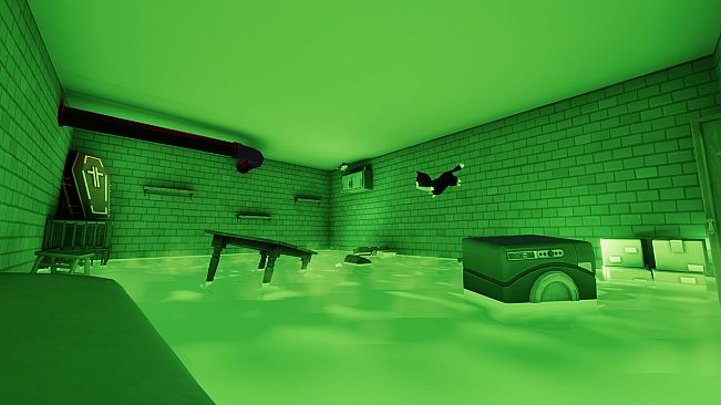 Catch Meow If You Can