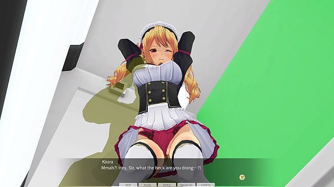 CUSTOM ORDER MAID 3D2&2.5 + V02