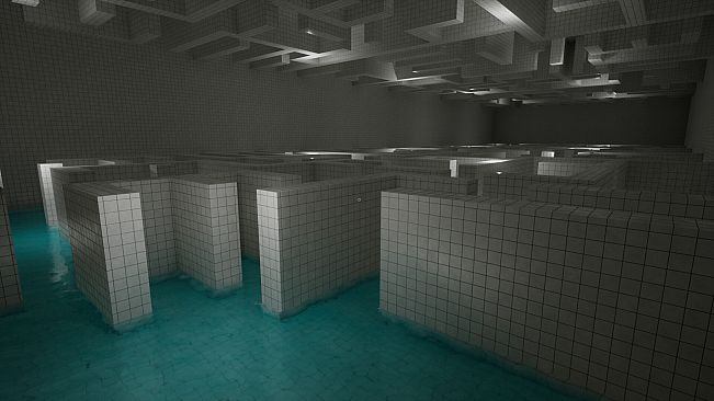 Backrooms #999999999