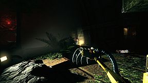 Viscera Cleanup Detail