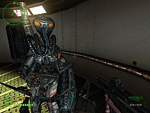 Operation: Matriarchy