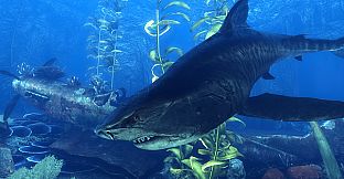 Depth - Reef Stalker Tiger Skin