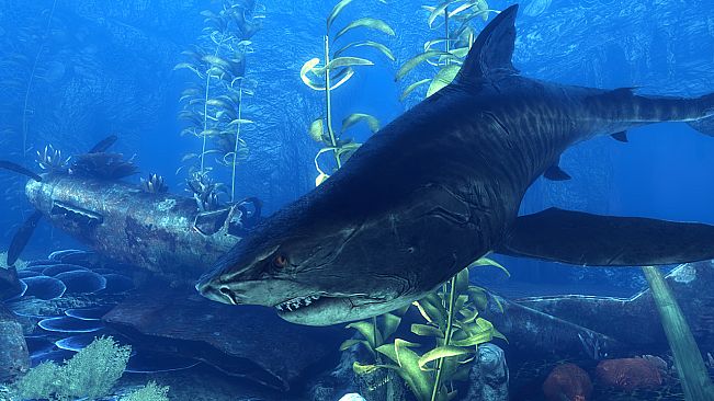 Depth - Reef Stalker Tiger Skin