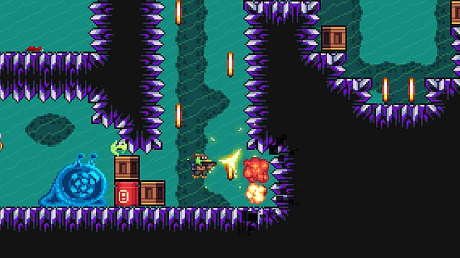 M.A.D. Cows and D.U.M.B. Ducks Bundle