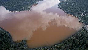 Escape the Scam Compound