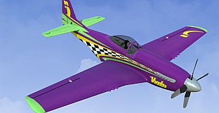 RealFlight Evolution - 2023 Year Content Pass