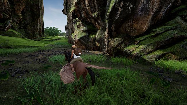 HRD 3 Pegasus Island