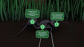 Zombie Ants VR: Definitive Edition