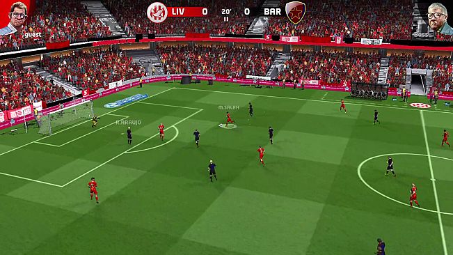 Sociable Soccer Champions