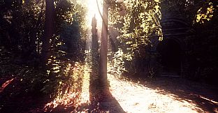 The House In The Hollow