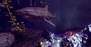 Depth - Battle-scarred Bull Skin